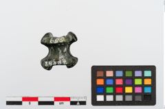 Foto von Bronzeriemendurchzug (NHMW-PRAE-024384)